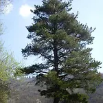 El Cobijo De Villar Nyaraló